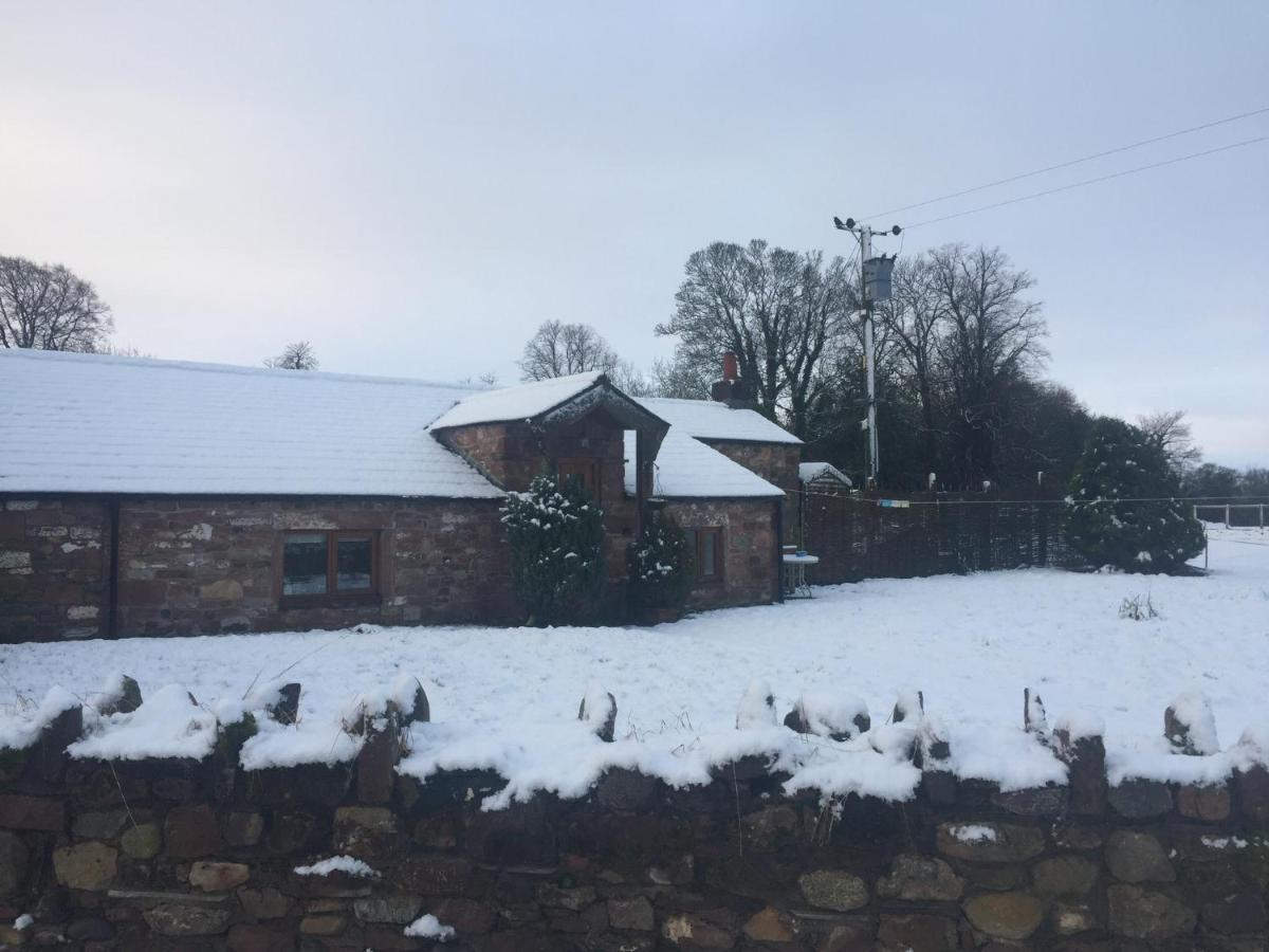 The Nook Cottage Carlisle  Ngoại thất bức ảnh